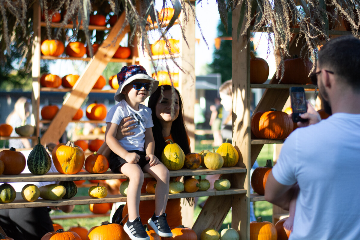 W mieście pojawiła się kolorowa farma dyniowa! / fot. Marek Faber