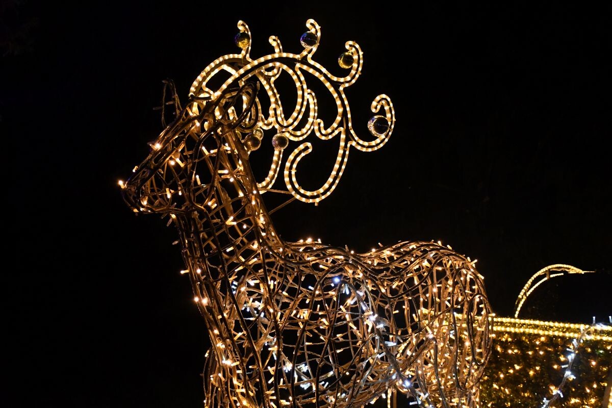 Na Skałce trwa świąteczny jarmark! Za nami miejskie mikołajki!