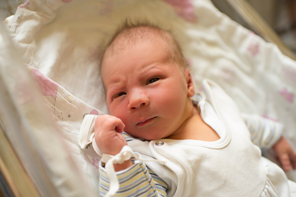 Franciszek Jankowiak