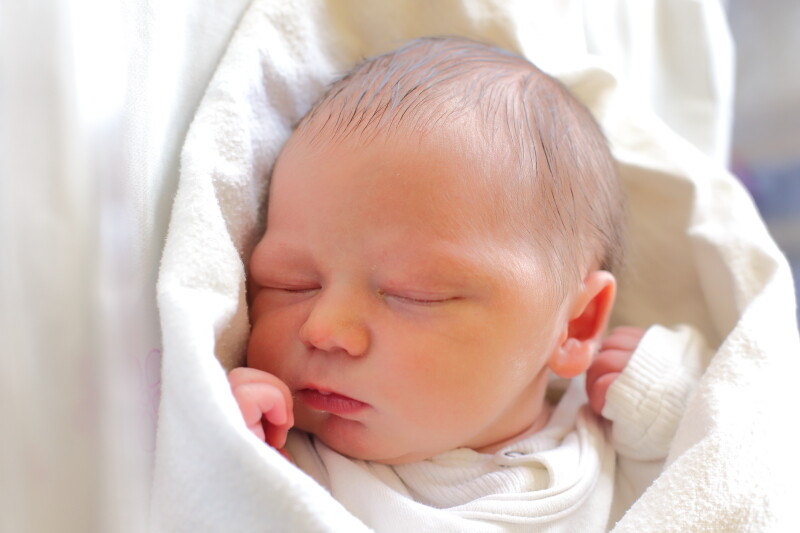 Franciszek Malcherek