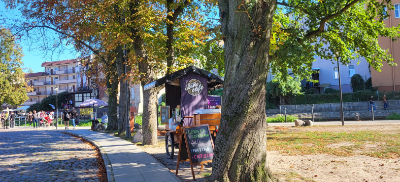 Franczyza lodów na kółkach - sprawdź możliwości zarobków!