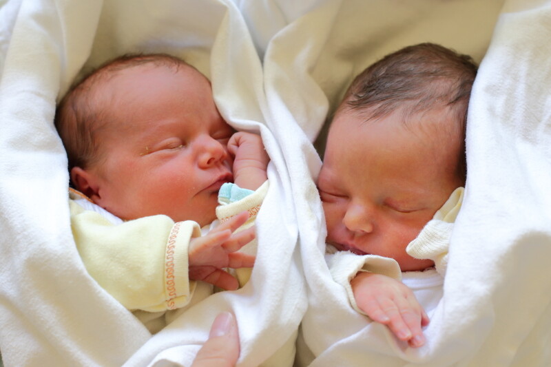 Franek i Staś Sokalscy