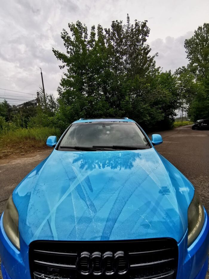 Prace Franka Myszy/fot. FB Franek Mysza