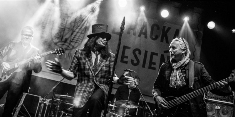 Gang Olsena acoustic trio w Ogrodzie MCK