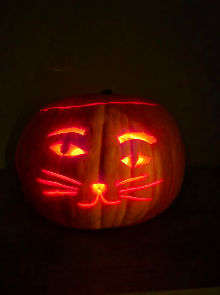 Halloween. / fot. Czytelnicy