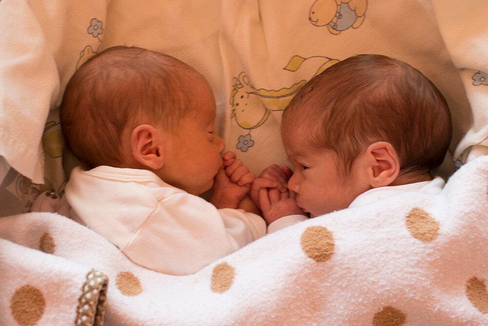 Helena i Franciszek Polok