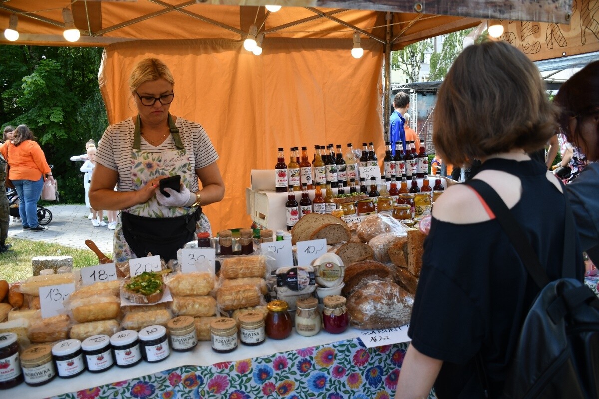 Industriada 2024 / fot. Jacek Knapik