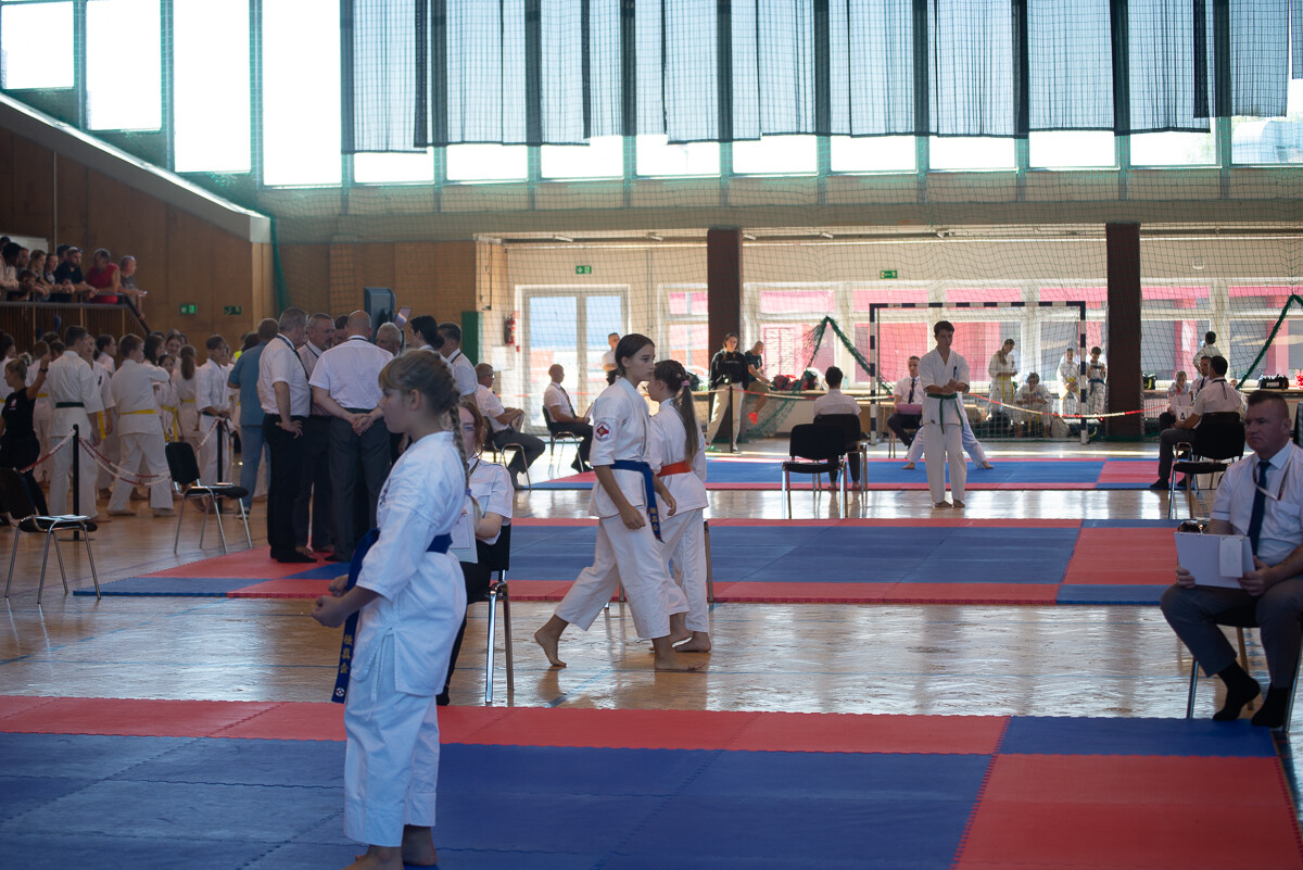 Za nami IX Puchar Śląska Dzieci i Młodzieży Karate Kyokushin / fot. Natalia Salwiczek