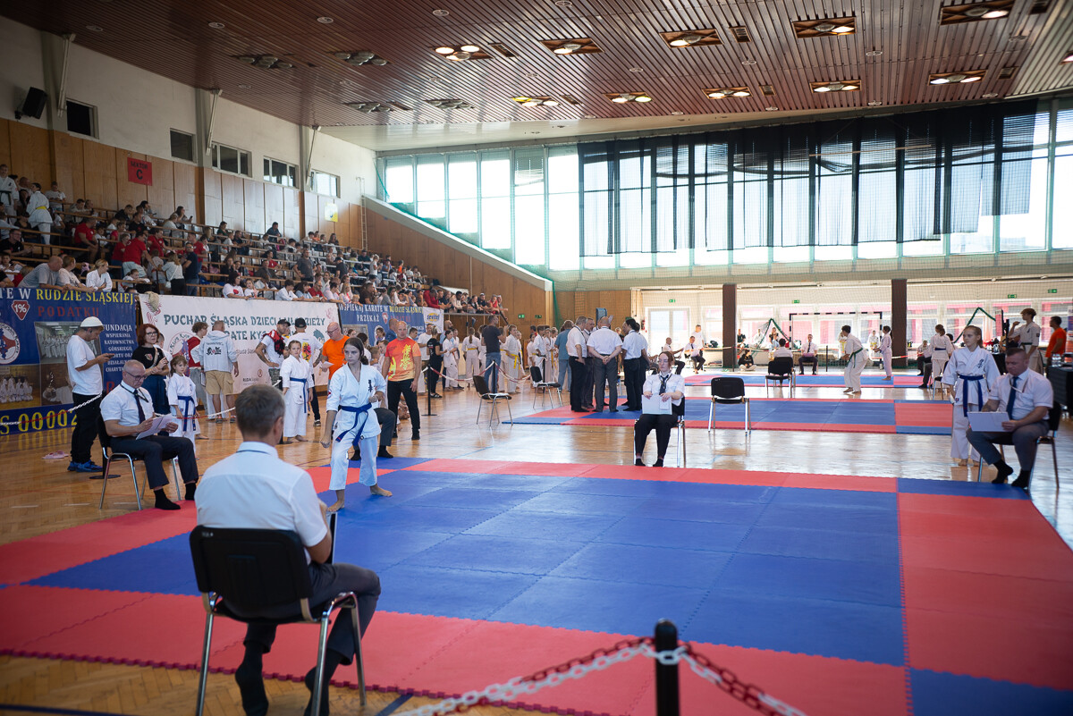 Za nami IX Puchar Śląska Dzieci i Młodzieży Karate Kyokushin / fot. Natalia Salwiczek