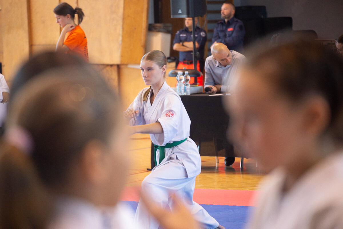 Za nami IX Puchar Śląska Dzieci i Młodzieży Karate Kyokushin / fot. Natalia Salwiczek