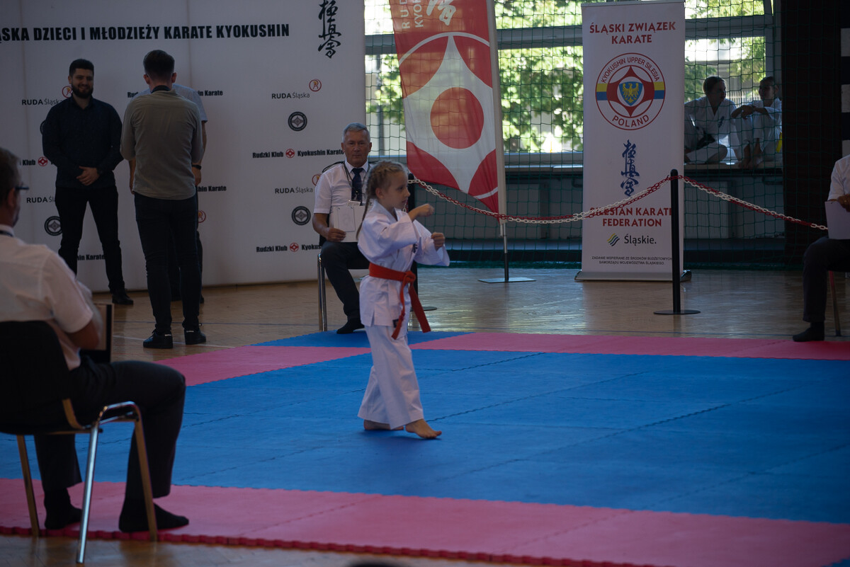 Za nami IX Puchar Śląska Dzieci i Młodzieży Karate Kyokushin / fot. Natalia Salwiczek