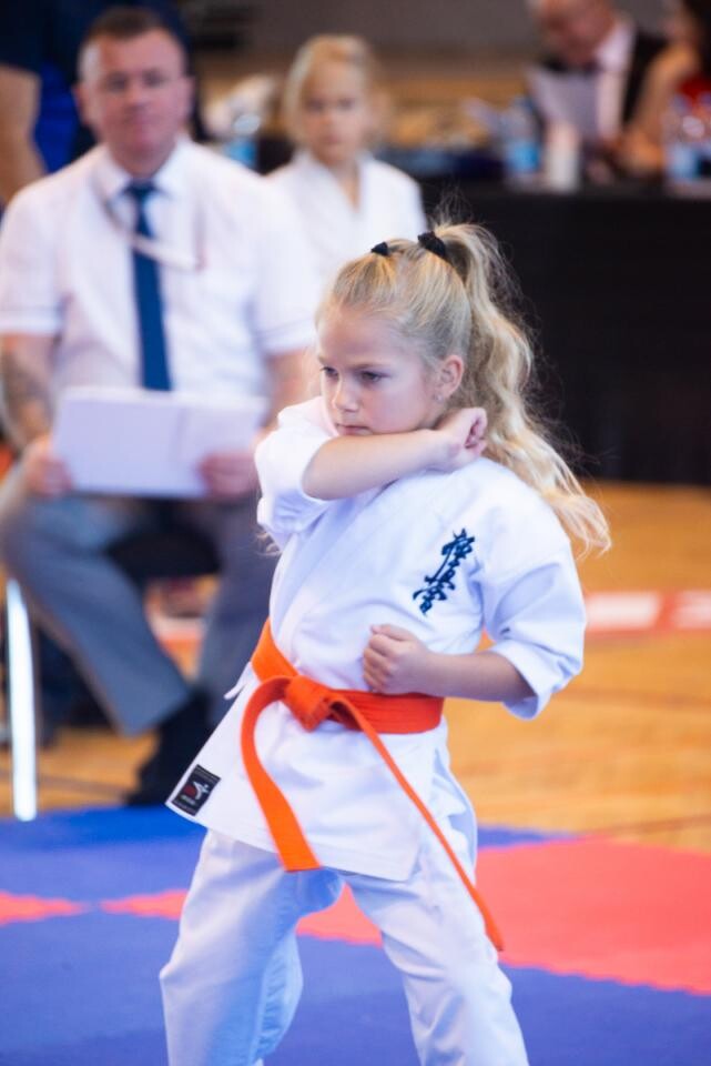 Za nami IX Puchar Śląska Dzieci i Młodzieży Karate Kyokushin / fot. Natalia Salwiczek