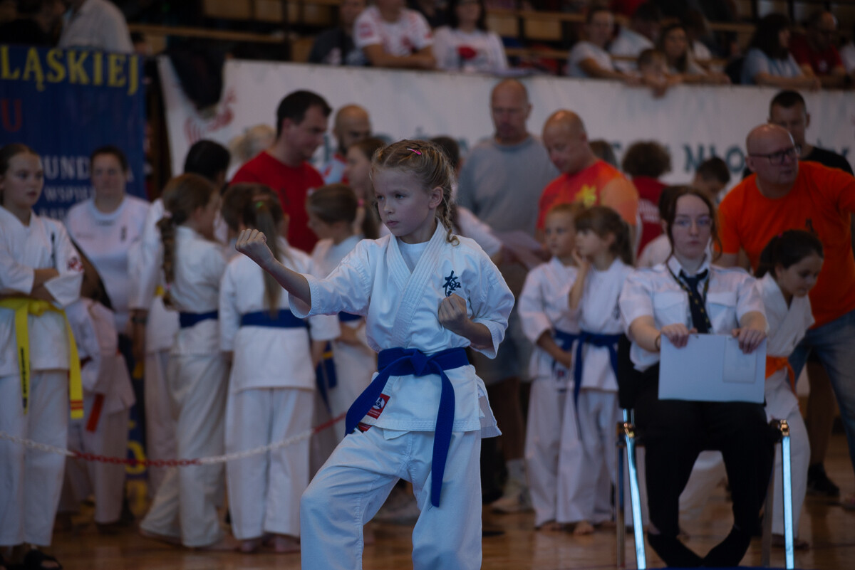 Za nami IX Puchar Śląska Dzieci i Młodzieży Karate Kyokushin / fot. Natalia Salwiczek