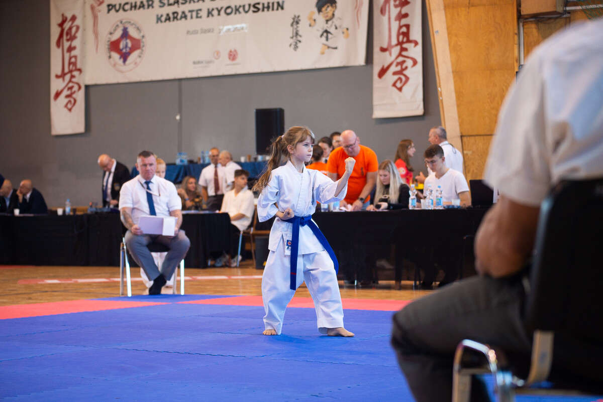 Za nami IX Puchar Śląska Dzieci i Młodzieży Karate Kyokushin / fot. Natalia Salwiczek