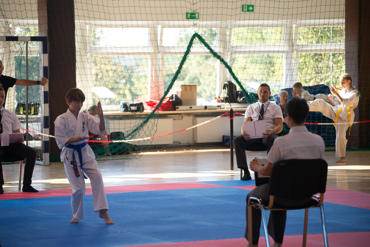 Za nami IX Puchar Śląska Dzieci i Młodzieży Karate Kyokushin / fot. Natalia Salwiczek