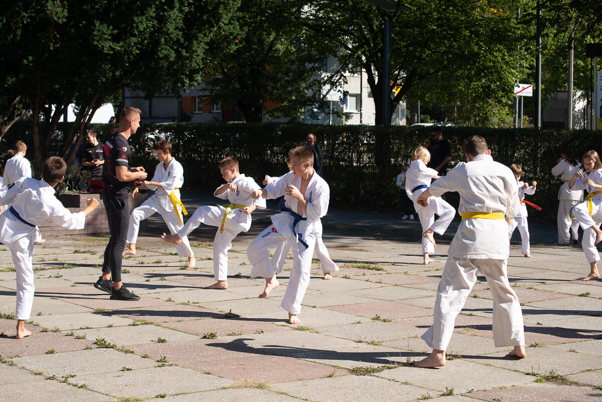 Za nami IX Puchar Śląska Dzieci i Młodzieży Karate Kyokushin / fot. Natalia Salwiczek