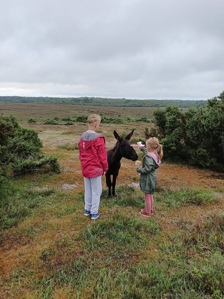 Zobaczcie, jak mieszkańcy Rudy Śląskiej spędzają wakacje. / fot. Czytelnicy