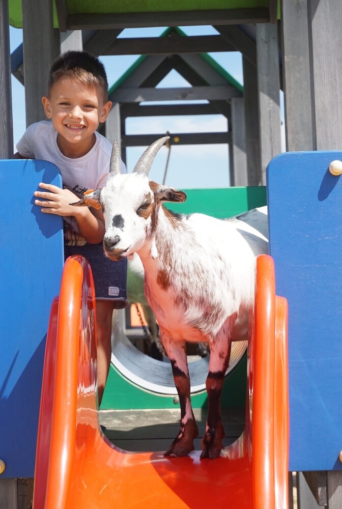 Zobaczcie, jak mieszkańcy Rudy Śląskiej spędzają wakacje. / fot. Czytelnicy