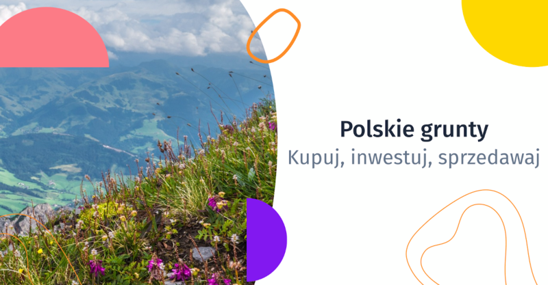 Jak promować działkę na sprzedaż? Sposoby ogłoszenia gruntu, oferty nieruchomości