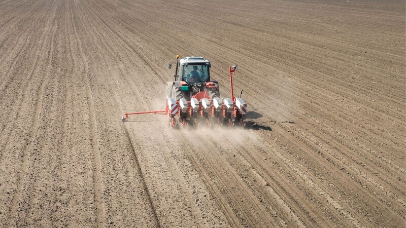 Jakie są parametry siewu pszenicy ozimej?