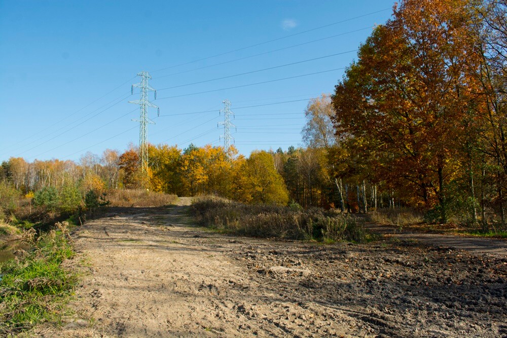 Jesień w lesie. / fot. Marek Faber