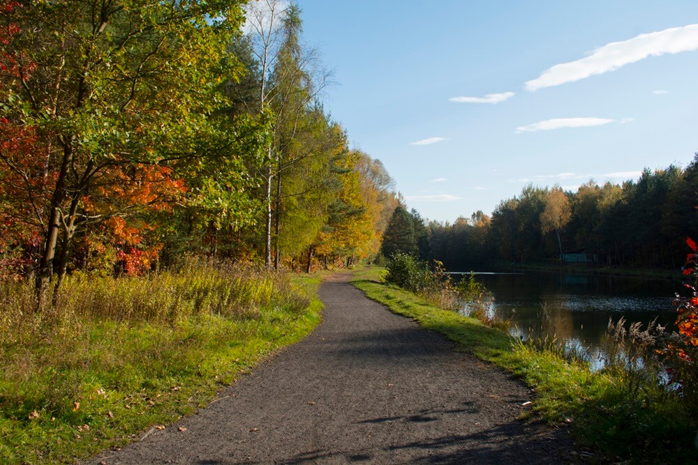 Jesień w lesie. / fot. Marek Faber