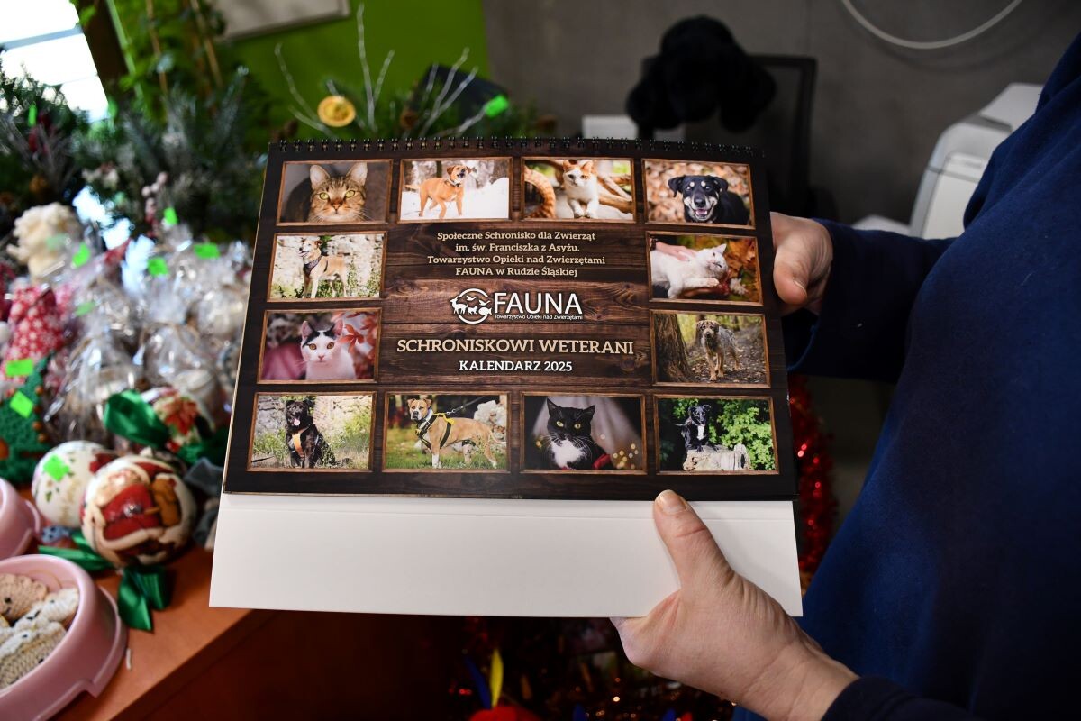 Przez cały weekend 21-22 grudnia w Schronisku dla Zwierząt TOZ "Fauna" organizowany jest kiermasz Świąteczny!