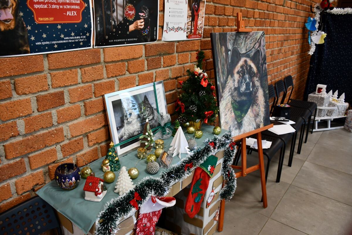 Przez cały weekend 21-22 grudnia w Schronisku dla Zwierząt TOZ "Fauna" organizowany jest kiermasz Świąteczny!