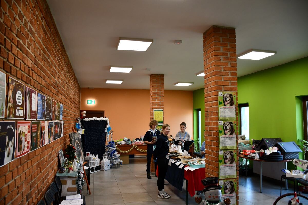 Przez cały weekend 21-22 grudnia w Schronisku dla Zwierząt TOZ "Fauna" organizowany jest kiermasz Świąteczny!