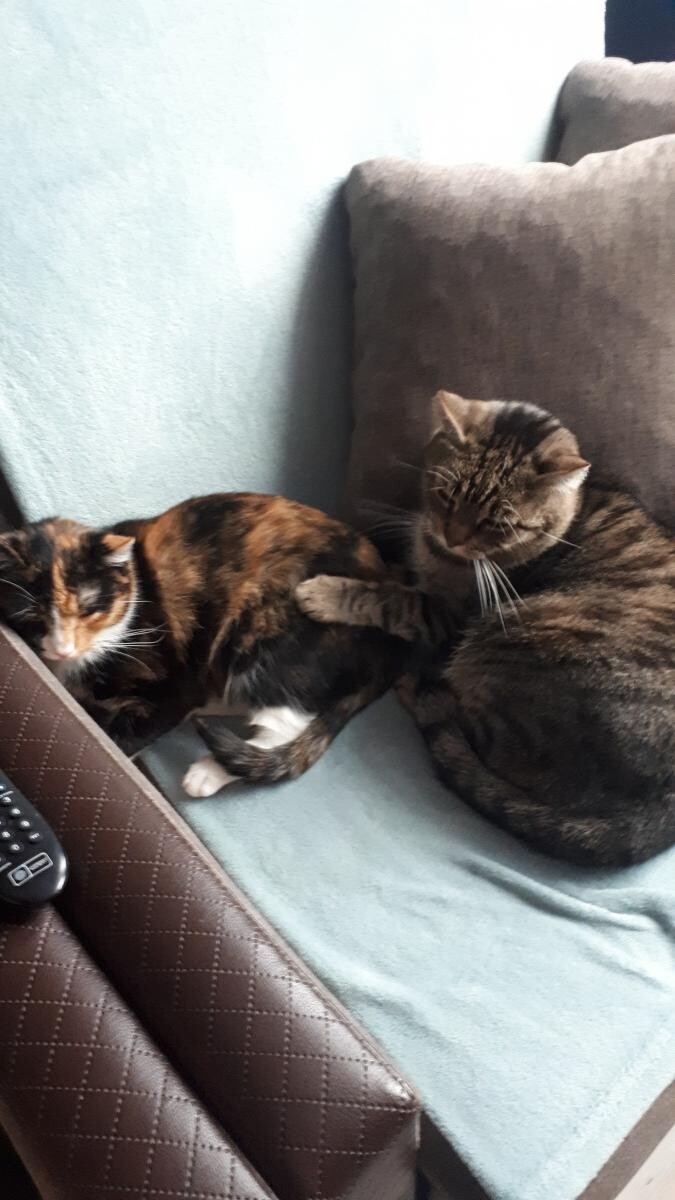 Puszek i Tośka
dzielnica: Wirek