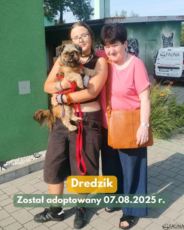 Adopcje w TOZ Fauna – sprawdź, które zwierzaki pojechały do nowych domów!/fot. TOZ Fauna