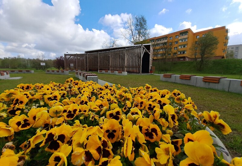 Kolorowa Ruda Śląska. W mieście zasadzono 6,5 tys. kwiatów