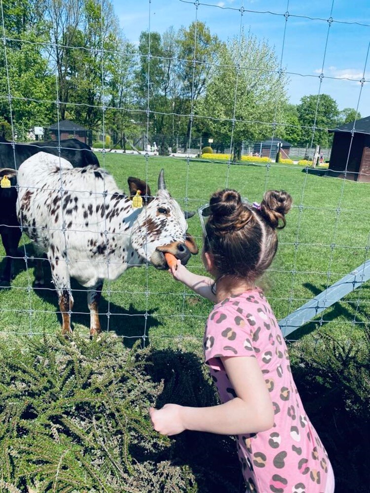 Majówka pełna wspomnień – znamy zwycięzców konkursu!