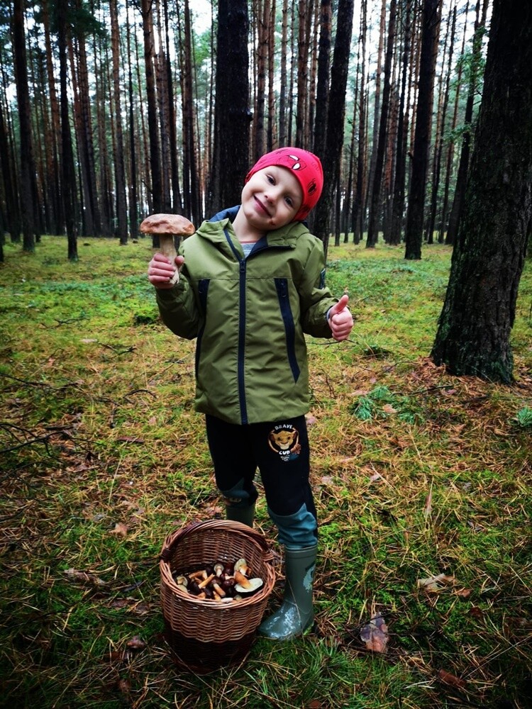 Grzybowe zbiory pełne pasji – zobaczcie zdjęcie naszych Czytelników!