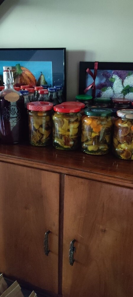 Grzybowe zbiory pełne pasji – zobaczcie zdjęcie naszych Czytelników!