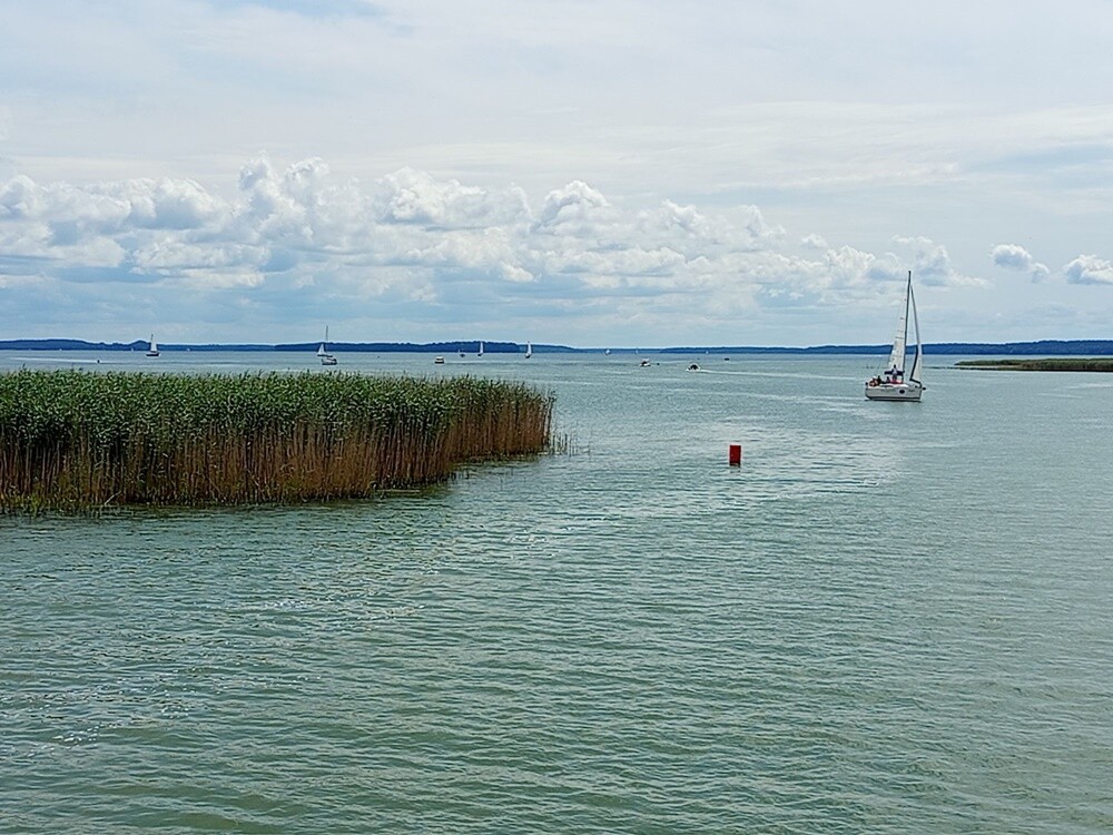 Konkurs wakacyjny / fot. Czytelnicy