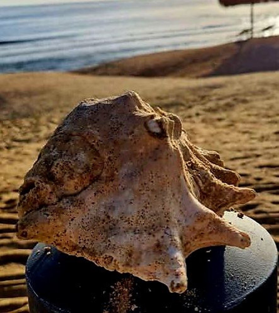 Konkurs wakacyjny / fot. Czytelnicy