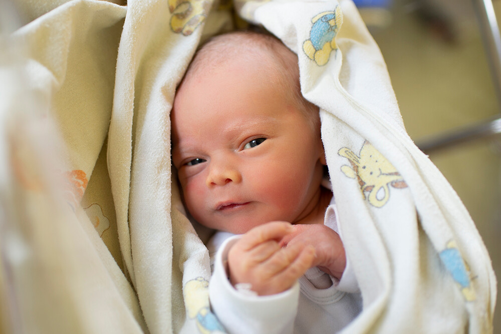 Krzysztof Myszkowski