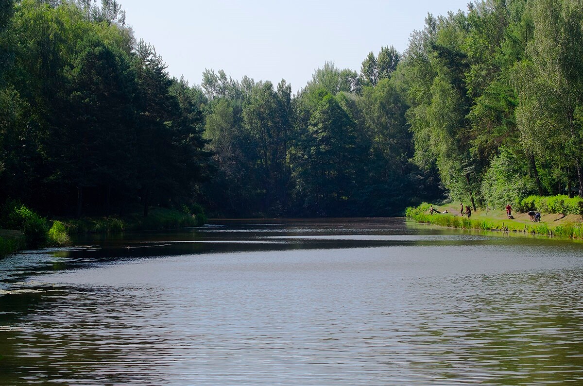 Halemba, malownicza dzielnica Rudy Śląskiej, to idealne miejsce na letnie spacery po lesie. / fot. Marek Faber