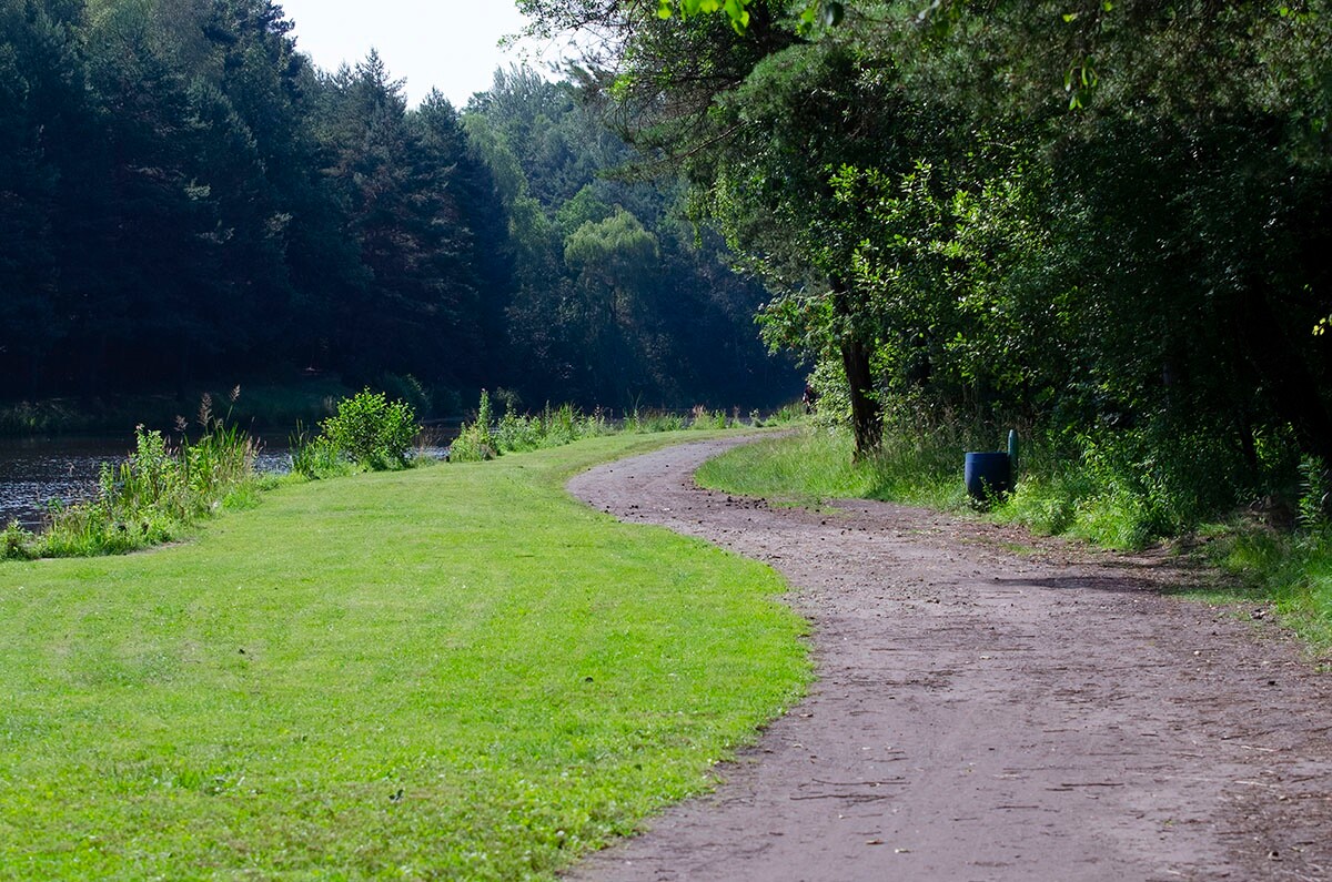 Halemba, malownicza dzielnica Rudy Śląskiej, to idealne miejsce na letnie spacery po lesie. / fot. Marek Faber