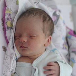 Maksymilian Ciesielski