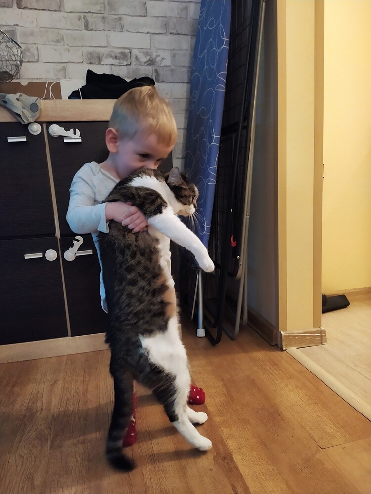 Międzynarodowy Dzień Kota. / fot. Czytelnicy