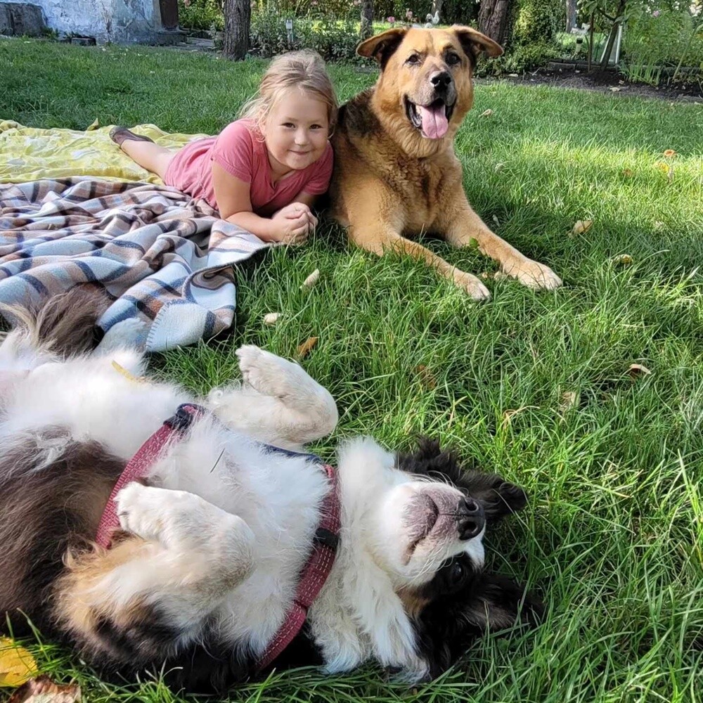 26 sierpnia świętowaliśmy Międzynarodowy Dzień Psa. Oto pupile naszych Czytelników.