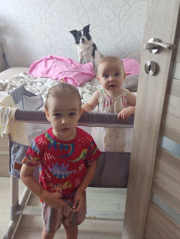 26 sierpnia świętowaliśmy Międzynarodowy Dzień Psa. Oto pupile naszych Czytelników.