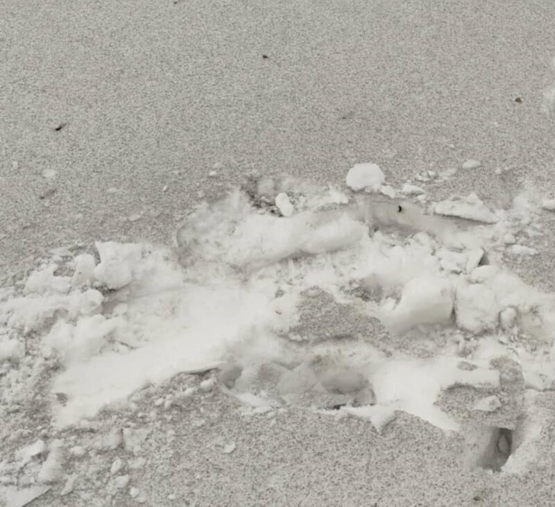 Mieszkańcy zaniepokojeni zanieczyszczeniami z gaszenia hałdy. Proszą władze o interwencję