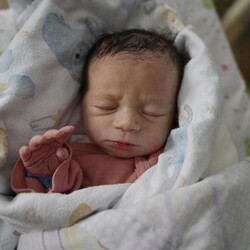 Mikołaj Jastrzębski