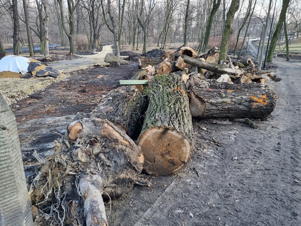 Trwa realizacja kolejnego etapu budowy Traktu Rudzkiego. Zobaczcie, jak do tej pory zmienił się Park Dworski w Nowym Bytomiu.