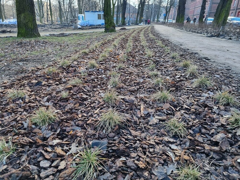 Trwa realizacja kolejnego etapu budowy Traktu Rudzkiego. Zobaczcie, jak do tej pory zmienił się Park Dworski w Nowym Bytomiu.