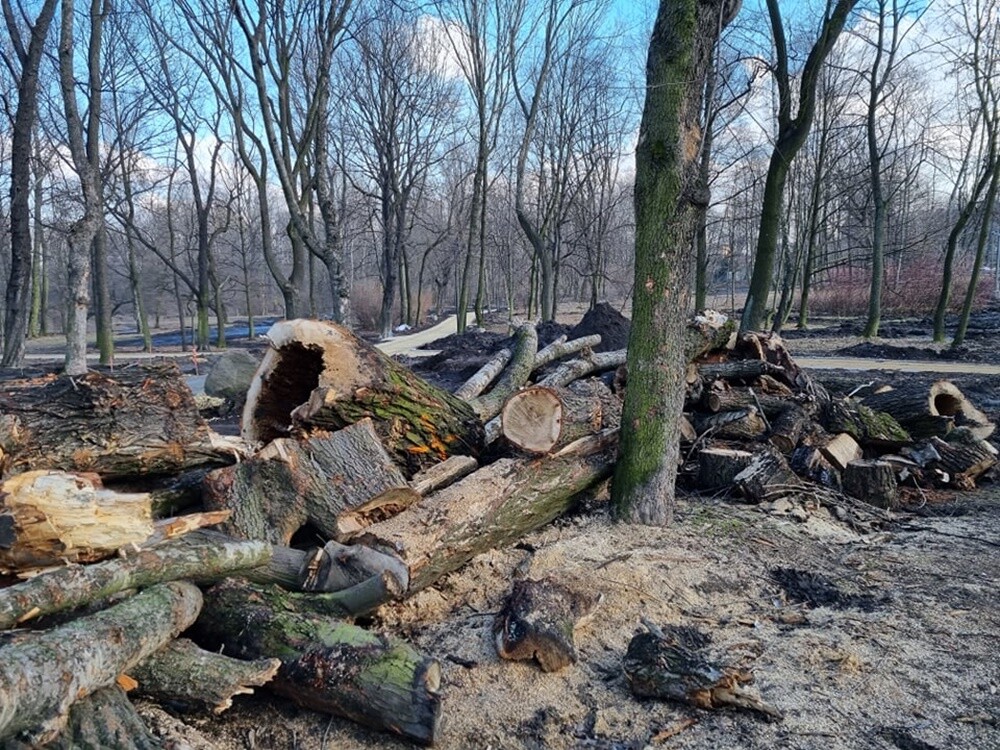 Trwa realizacja kolejnego etapu budowy Traktu Rudzkiego. Zobaczcie, jak do tej pory zmienił się Park Dworski w Nowym Bytomiu.