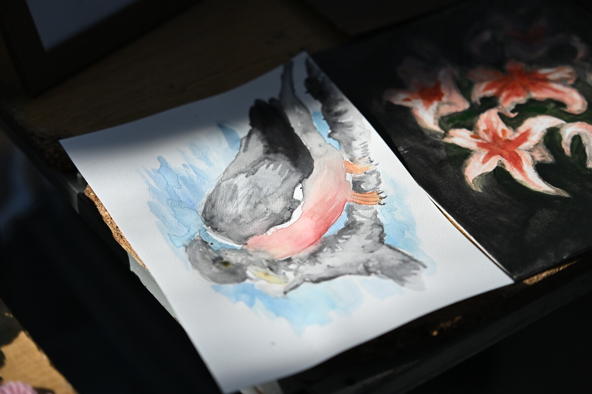 „Nasze Pasje” – święto młodzieżowych inspiracji w Rudzie Śląskiej. / fot. Marek Faber